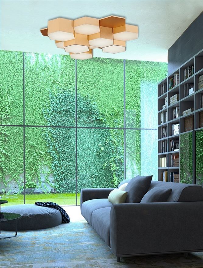 LED CEILING LUMINAIRES